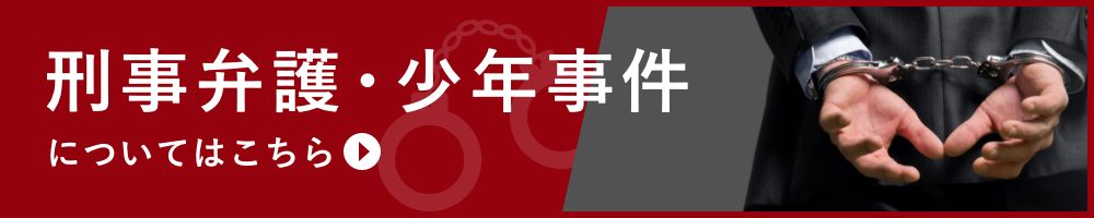 刑事弁護・少年事件を甲府の弁護士に相談